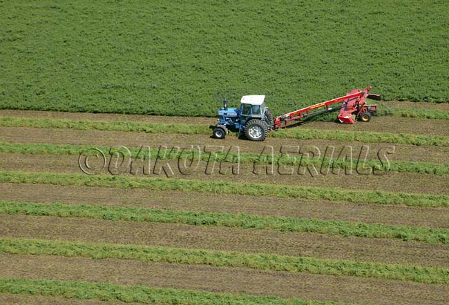 Hayin' Time Flying Colors